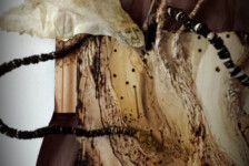 "My Sycamore tree"_detail