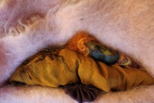 "Hide and Seek "_detail