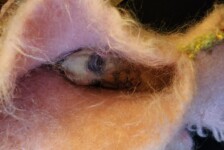 "Hide and Seek "_detail